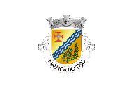 Bandera de Malpica do Tejo