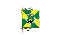Bandera de Mangualde (freguesia)