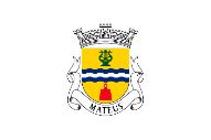 Bandera de Mateus (Portugal)
