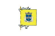 Bandera de Maximinos