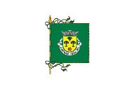 Bandera de Mesão Frio (Guimarães)