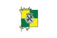Bandera de Moimenta da Beira (freguesia)
