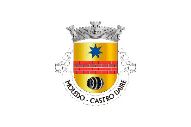 Bandera de Moledo (Castro Daire)