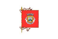 Bandera de Monte (Murtosa)