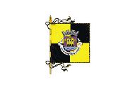 Bandera de Montemor-o-Velho (freguesia)