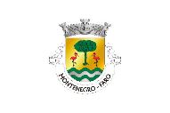 Bandera de Montenegro (Faro)