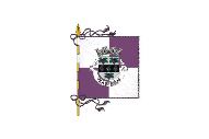 Bandera de Nelas (freguesia)