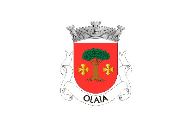 Bandera de Olaia