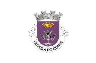 Bandera de Oliveira do Conde