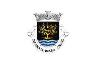 Bandera de Oliveira do Douro (Cinfães)
