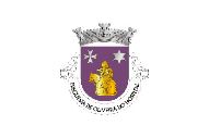 Bandera de Oliveira do Hospital (freguesia)