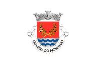 Bandera de Oliveira do Mondego