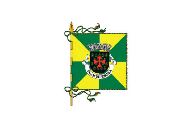 Bandera de Paços de Ferreira (freguesia)