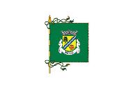 Bandera de Palmaz
