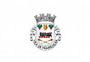 Bandera de Pampilhosa