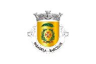 Bandera de Paradela (Barcelos)