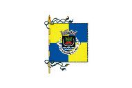 Bandera de Paredes de Coura (freguesia)