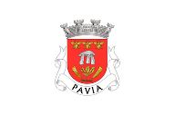 Bandera de Pavia (Mora)
