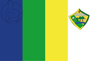 Bandera de Brasileia
