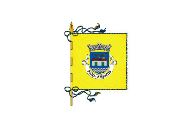 Bandera de Pego (Abrantes)
