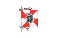 Bandera de Penafiel (freguesia)