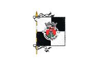 Bandera de Penedono (freguesia)