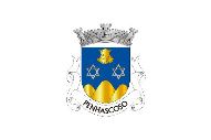 Bandera de Penhascoso