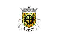 Bandera de Ramalde