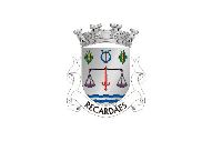Bandera de Recardães