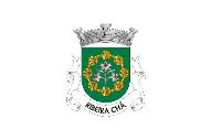 Bandera de Ribeira Chã