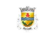 Bandera de Rio Vide