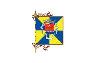 Bandera de Sacavém