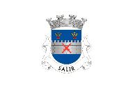 Bandera de Salir