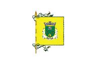 Bandera de Salselas