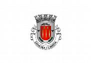 Bandera de Samora Correia