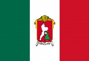 Bandera de Toluca