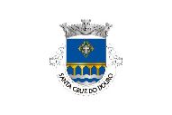 Bandera de Santa Cruz do Douro