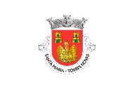 Bandera de Santa Maria (Torres Novas)