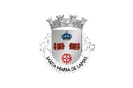 Bandera de Santa Maria de Lamas