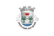 Bandera de Santa Maria dos Olivais (Lisboa)