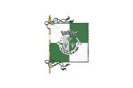 Bandera de Santo Estêvão do Penso