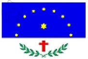 Bandera de Salgueiro