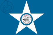 Bandera de Houston
