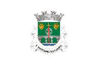 Bandera de São Martinho do Campo