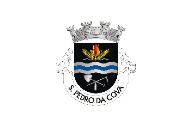 Bandera de São Pedro da Cova