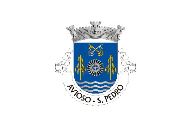 Bandera de São Pedro de Avioso
