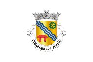 Bandera de São Romão do Coronado