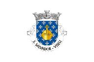 Bandera de São Salvador (Viseu)