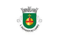 Bandera de São Salvador do Campo