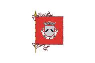 Bandera de São Vicente (Braga)